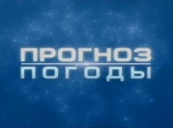 Весна спешит в Новочеркасск