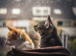 Предстоящий уик-энд принесет Новочеркасску небольшой дождь