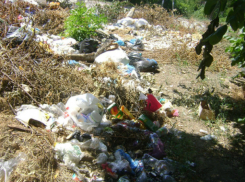 Пока администрация рапортует о субботниках, горожане задыхаются от омерзительных миазмов неубранных помоек