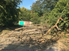 Рухнувшее сухое дерево перегородило единственную дорогу жителям многострадальной улицы Социалистической