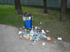 Коммунальные службы не вывозят мусор из переполненных урн в Новочеркасске