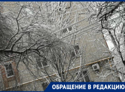 «Сухие деревья под толщей снега рухнут в любой момент», - новочеркасцы