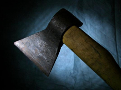 В Новочеркасске мужчина, страдающий психическим заболеванием, устроил погром с топором