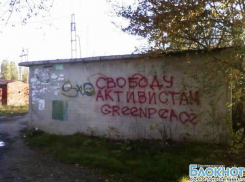 В Новочеркасске объявились сторонники «Гринписа»