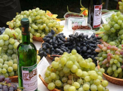 Новочеркасский институт виноградрства отметил свой 80 день рождения