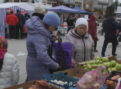 В Новочеркасске открылся сезон ярмарок