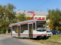 Новочеркасский трампарк попросил очередную субсидию у муниципалитета