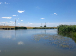 Жителям Новочеркасска советуют не купаться в местных водоемах