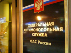 ФАС предупредила энергетиков о возможном нарушении законодательства в Новочеркасске 