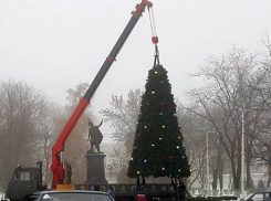 В Новочеркасске установили главную городскую елку