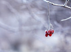 Снег может выпасть в Новочеркасске уже на следующей неделе