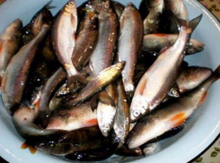 В Новочеркасске, на Азовском рынке торговали рыбой, занесенной в Красную книгу