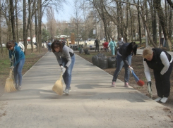 В Новочеркасске выберут самую чистую территорию