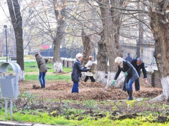 На озеленение Новочеркасска мэрия готова потратить 2 миллиона рублей