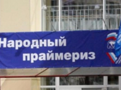 Стали известны результаты предварительного голосования