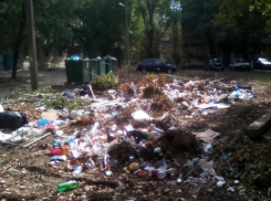 В Новочеркасске, вокруг ДК микрорайона Донского растут мусорные горы