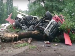 Неуправляемый грузовик с алкоголем снес деревья и перевернулся в Новочеркасске
