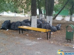 Кандидат в депутаты городской Думы Новочеркасска испортил сквер Чапаева во время съемок агитролика