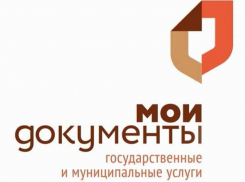 В Новочеркасске МФЦ переименуют в «Мои документы»