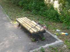 Вандалы украли урны и сломали скамейки в новочеркасской роще «Красная весна»