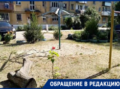 «Наши дети играют в песочнице с травой и фекалиями животных», - жительница Новочеркасска