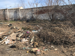 В Новочеркасске обнаружили свалки у контейнерных площадок