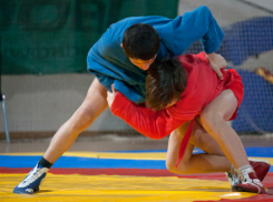 Шесть новочеркасских спортсменов заняли первые места на турнире по самбо