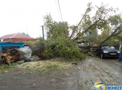 В Новочеркасске в результате урагана 25 тысяч человек остались без электричества