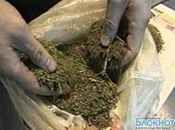 Наркополицейские задержали в лесополосе на окраине Новочеркасска двоих мужчин с 2,5 кг марихуаны