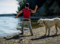 Наступивший уик-энд в Новочеркасске будет еще по-летнему теплым