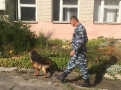 В Новочеркасске стартовала спецоперация «Дети России»