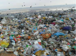 Жители Новочеркасска считают свой город «вонючкой»