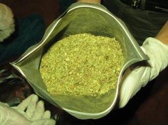 В Новочеркасске отец сдал сына-наркомана полиции