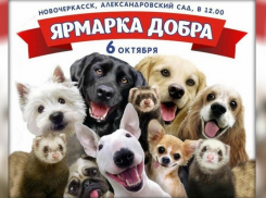 В Новочеркасске на ярмарке добра разыграют путевку в Сочи