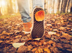 Новочеркасцев ожидают пасмурные и ветреные выходные