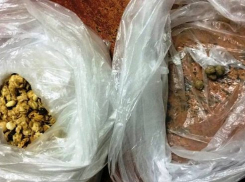 Пенсионерка из Новочеркасска принесла «на свиданку» наркотики