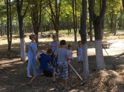 Управляющие компании Новочеркасска проигнорировали городской субботник