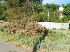 Едущие в аэропорт Платов пассажиры любуются убожеством новочеркасских улиц