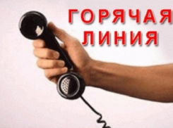 Новочеркасцам расскажут о выплате детских пособий