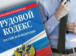 В Ростовской обалсти выявлено 11168 нарушений трудового законодательства 