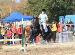 В Новочеркасске впервые прошли соревнования по конкуру 