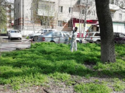 Более 125 гектаров попали под противоклещевую обработку в Новочеркасске 