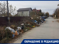 «Улицу Вавилова превратили в большую свалку», - новочеркасцы