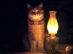 Часть Новочеркасска снова останется без электричества