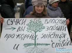 Защитники рощи в Новочеркасске угрожают властям радикальными протестами