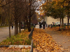 Первая рабочая неделя ноября в Новочеркасске будет теплой