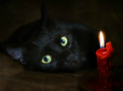 Рабочая неделя начнется без электричества для жителей 12 новочеркасских улиц