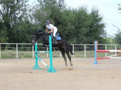 Спортсмены из Новочеркасска завоевали четыре медали по конному спорту