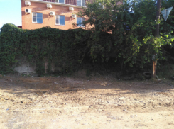 После публикации «Блокнота Новочеркасск» администрация убрала свалку в переулке Сосновом