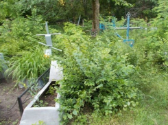 Администрация Новочеркасска не смогла узаконить кладбище в микрорайоне Донском